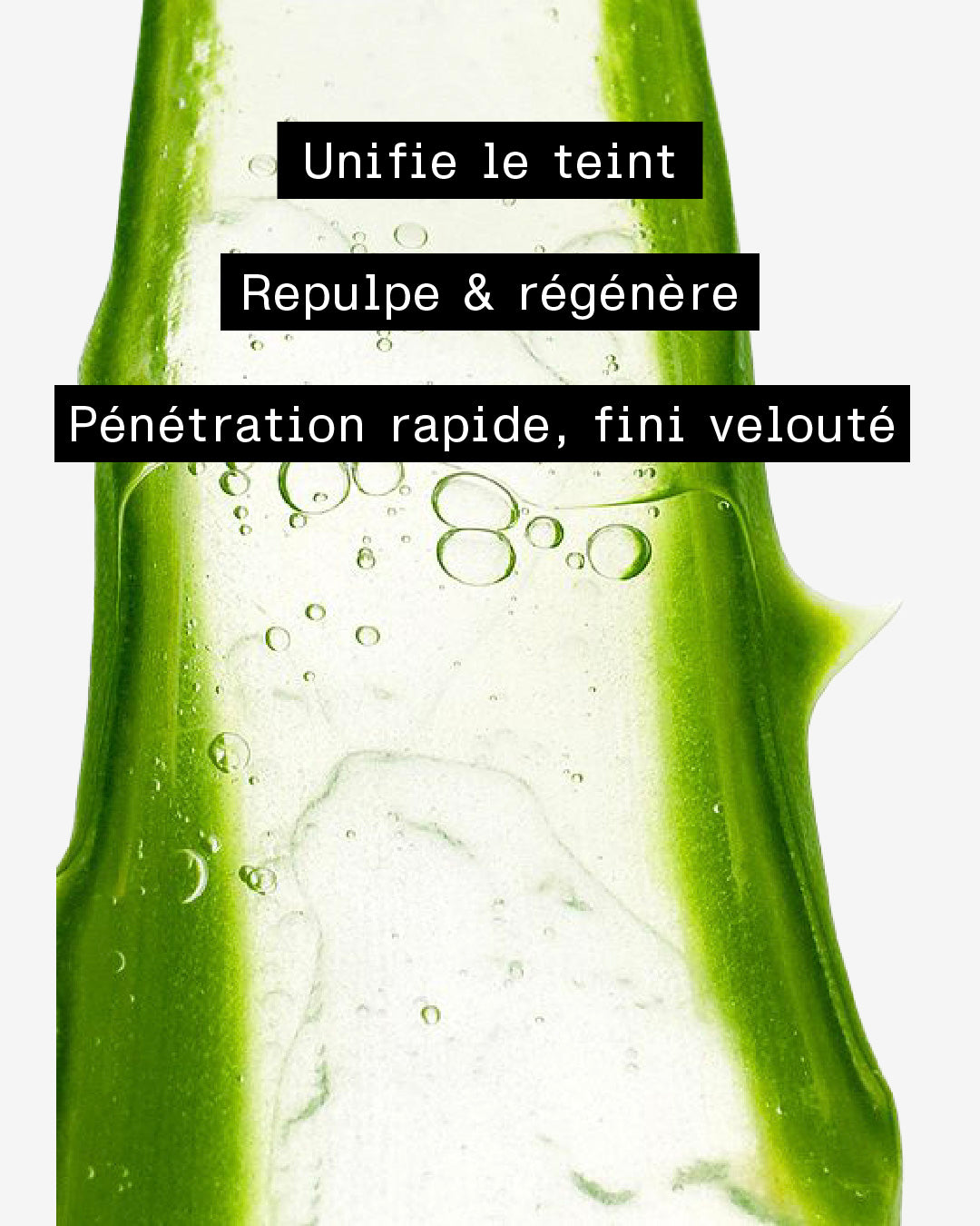 Sérum Régénérant