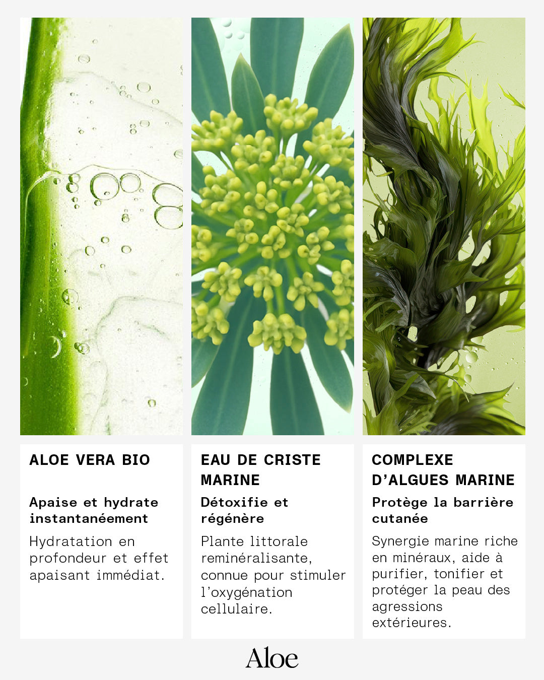 Granité Démaquillant